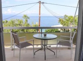 Coastal Apartment on the Pedestrian Road