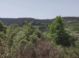Seßles Waldhäusschen Dietzhausen, hotel v destinaci Suhl