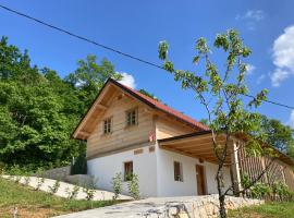 Princess's vineyard cottage, casa vacanze a Mirna Peč