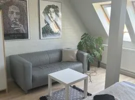 Pokoje Gościnne pod Klonami