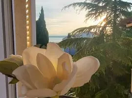Apartman Rosi