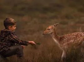 Cabañas Valle de los Ciervos
