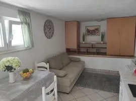 Studio Apartment Petrov