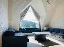 ザ・ヴィレッジアルファ