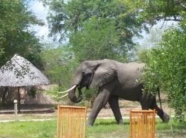 Africa Safari Selous Camping, ξενοδοχείο σε Kwangwazi