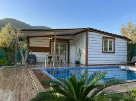 Nature View Private Villa With Pool in Fethiye