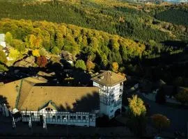 Dorint Resort Winterberg
