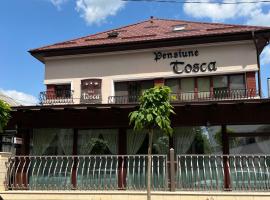 Vila Tosca, hotel poblíž Mezinárodní letiště Bacau - BCM, 