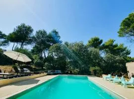Artist Villa 8P Private Pool, Jacuzzi, 1 hectare next typical Provençal village