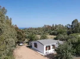 Foxi lioni