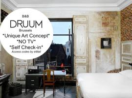 B&B DRUUM, bed and breakfast v Bruselu