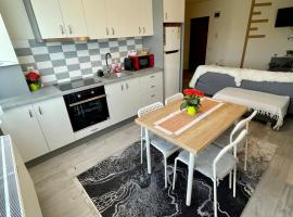 Flat – apartament w mieście Baciu