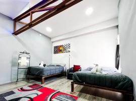 Lovely Loft 10 min from downtown - free parking، شقة في سان لويس بوتوسي