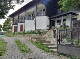 Pensiunea Sara pe deal