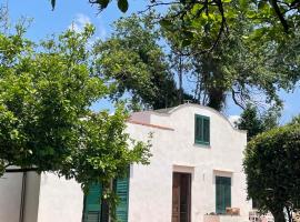 Villa Morea & Rooms in Procida, pensionat i Procida