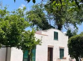 Villa Morea & Rooms in Procida