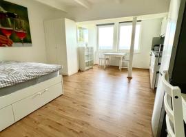 Schilcherland Studio, holiday rental in Greisdorf