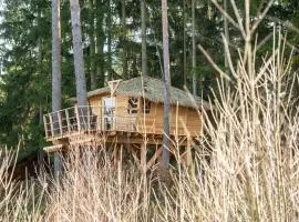 Treehouse U rybníka
