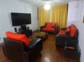 C.A.A apartment temporal pardo 1