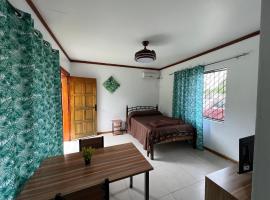 Pasifika Guesthouse, B&B in Nadi