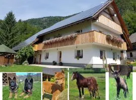 Domačija Loncnar