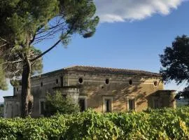 Tenute Pacelli - Azienda Agricola