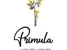 Primula