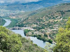 Quinta da Pinguinha - Douro, ξενοδοχείο σε Armamar