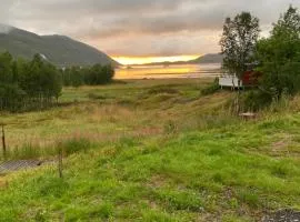 Senja