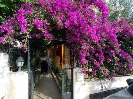 özdere tripleks yazlık 4 oda, Hotel in Özdere