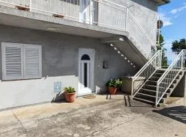 Apartment Biondic