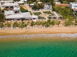 Alexandros by the Beach - Serifos โรงแรมในLivadakia