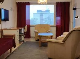 Cozy easy-to-stay 2room apartment 1km from Rauma centre