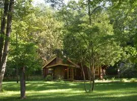 Blue Moon Log Cabin