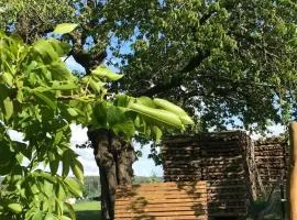 Zelte individuell auf der Obstwiese