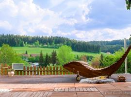 Entire House in Schwarzwald with mountain view, private Sauna, Gym, Garden and Terraces, cheap hotel in Unterkirnach