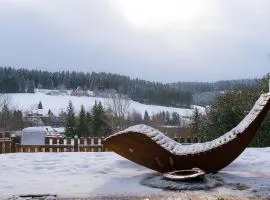 Entire House in Schwarzwald with mountain view, private Sauna, Gym, Garden and Terraces