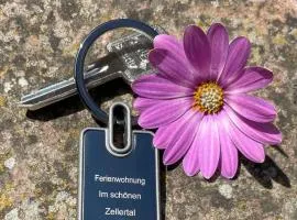 Ferienwohnung im schönen Zellertal