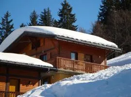 Chalet Savoyard 8 pers, proche pistes, parking - FR-1-733-1