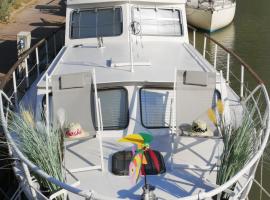 Bateau Fellowship, boat in Narbonne