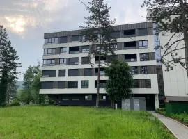 Park Lake Suite