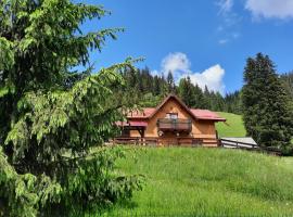 Casa Aurici Vatra Dornei, căsuță din Vatra Dornei