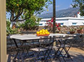 Lemoni House, beach rental in Andros