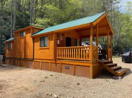 Tennessee Mountain Cabin، فندق في Mountain City