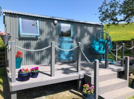 The Peacock Shepherds Hut at Hafoty Boeth, hotel a Corwen