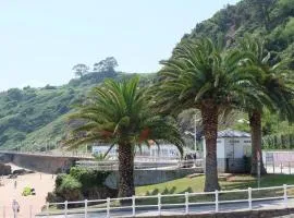 Playa de la palmera