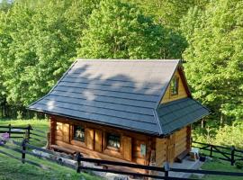 Leśna Głusza, cabin in Obidza