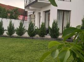 Accent Garden: Deva şehrinde bir daire