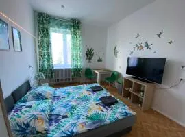 Jungle Rooms