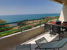 Face mer, terrasse 11m², clim, garage, classé 3☆ - FR-1-472A-286